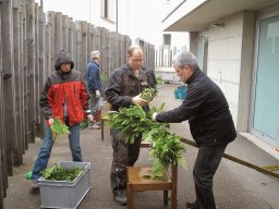 IMG_3612-bearbeitet
